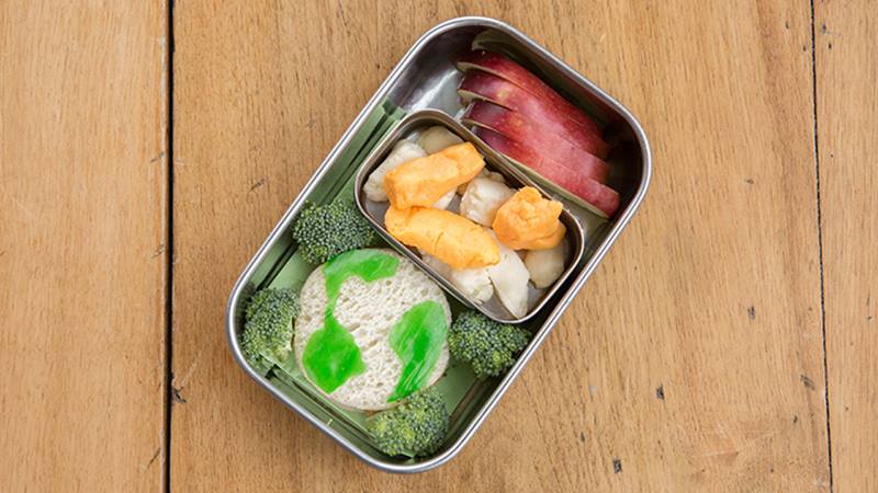 10 Food Ideas Celebrating Earth Month for Your Kids' Lunch Boxes – Teuko  Blog