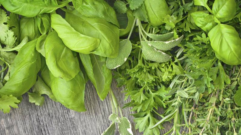 Cooking With Fresh Herbs and Spices